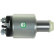 Magnetic switch, starter motor