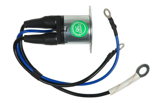 Magnetic switch, starter motor