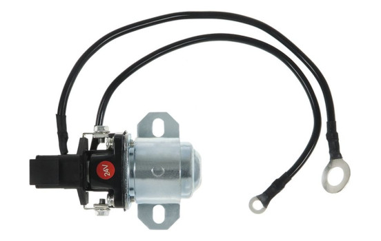 Magnetic switch, starter motor