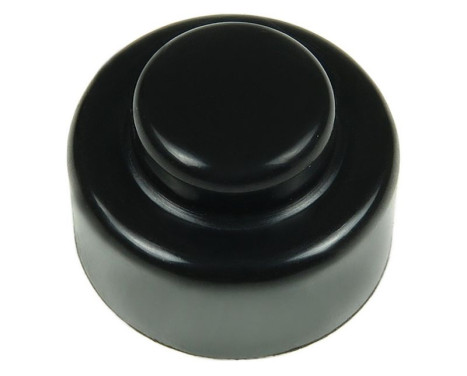 Starter motor cover, carburetor