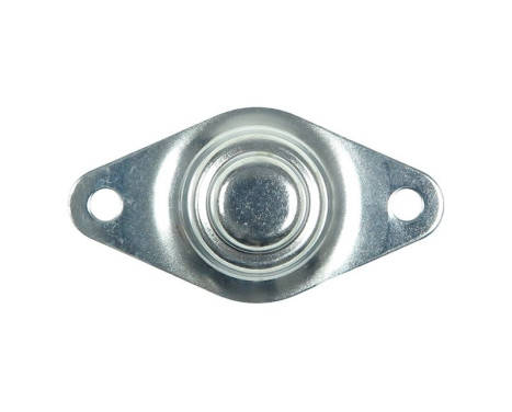 Starter motor cover, carburetor