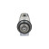 Starter Motor / Starter