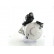 Starter, Thumbnail 2