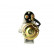 Starter, Thumbnail 3