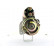 Starter, Thumbnail 2