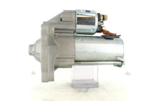 Starter, Image 2