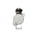 Starter, Thumbnail 3