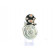 Starter, Thumbnail 2