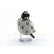 Starter, Thumbnail 2