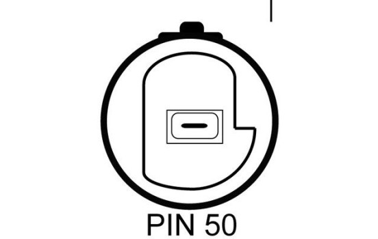 Starter, Image 2