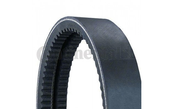 Banded V-Belts 2/13 X 1450 Contitech