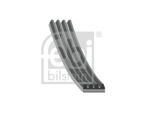Multi-belt 178936 FEBI