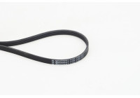 Multi-belt 4PK1155 Contitech