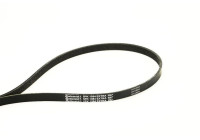 Multi-belt 5PK1084 EXTRA Contitech