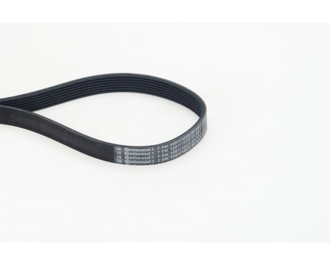Multi-belt 7PK1051 ELAST Contitech