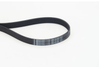 Multi-belt 7PK1066EXTRA Contitech