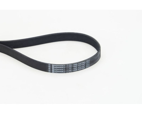 Multi-belt 7PK1066EXTRA Contitech