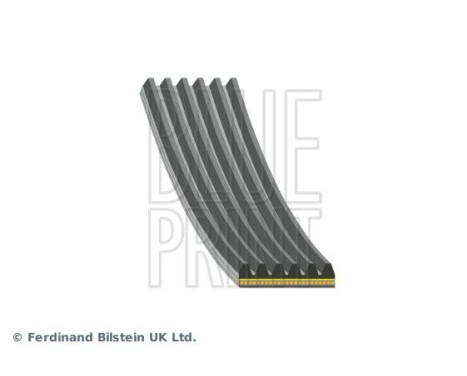 Multi-belt AD06A1098 Blue Print