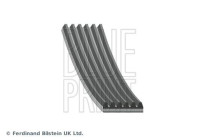 Multi-belt AD06R1210 Blue Print