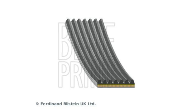 Multi-belt AD07R1065 Blue Print