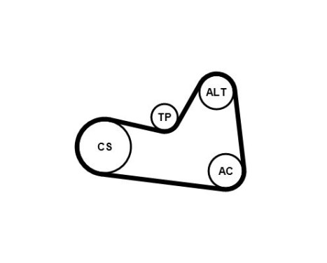 Multi-belt set 6PK1026K1 Contitech, Image 4