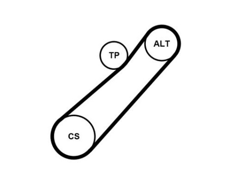 Multi-belt set 7PK880K1 Contitech, Image 2
