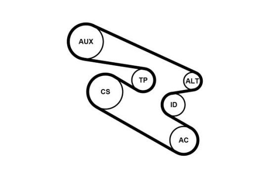 Multi-belt set BMW 7PK1104K1 Contitech, Image 3