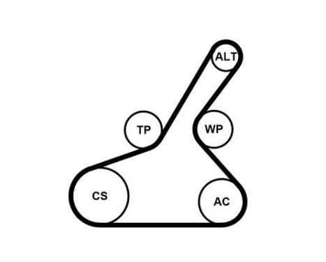 Multi-belt set MAZDA 6PK1190K1 Contitech, Image 2