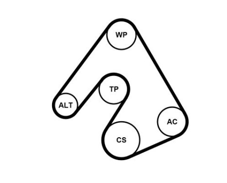 Multi-belt set + water pump 5PK1207WP1 Contitech, Image 2