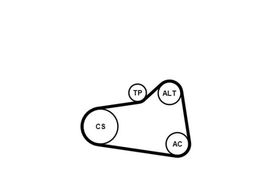 Multi-belt set + water pump 6PK905 EXTRA WP1 Contitech, Image 2