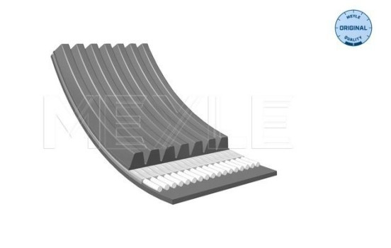 Multi-belt