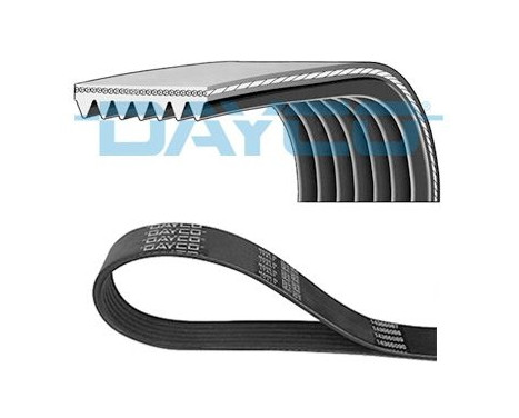 Multi-belt