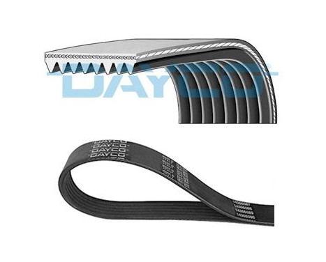 Multi-belt