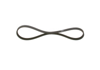 Multi-belt