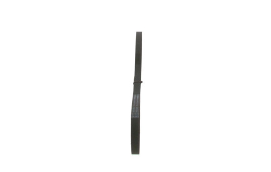 Multi-belt, Image 4