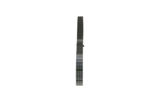 Multi-belt, Image 4