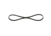 Multi-belt