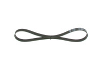 Multi-belt