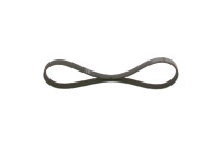 Multi-belt