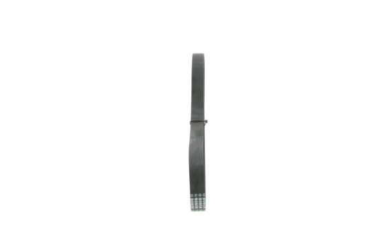 Multi-belt, Image 4