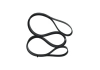 Multi-belt