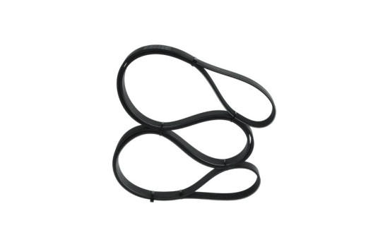Multi-belt