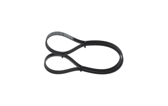Multi-belt, Image 3