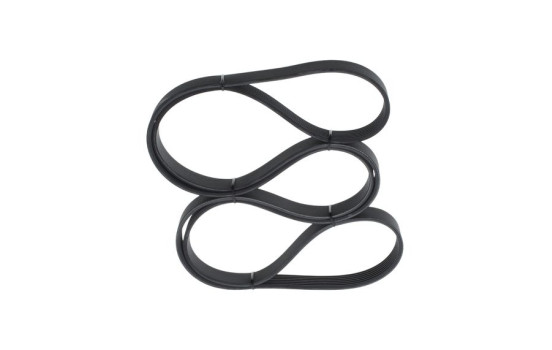 Multi-belt