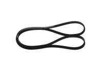 Multi-belt