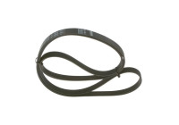 Multi-belt