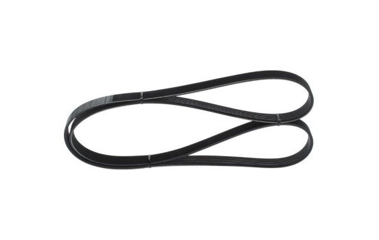 Multi-belt
