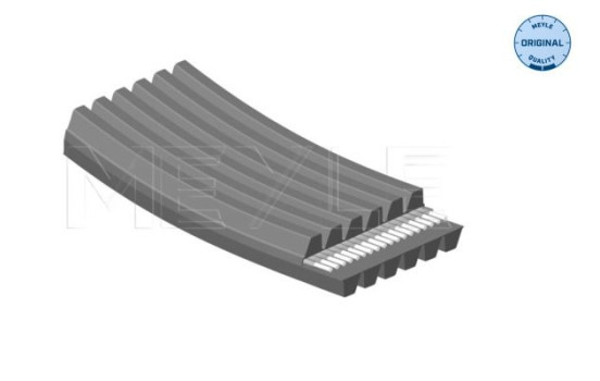 Multi-belt, Image 2