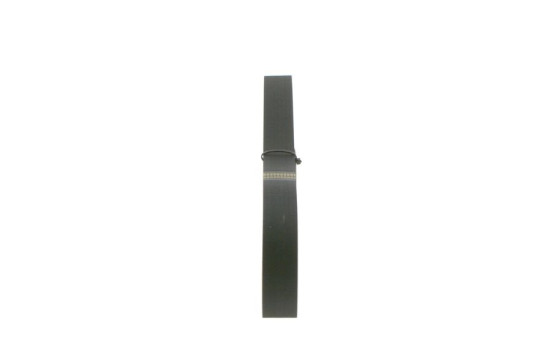 Multi-belt, Image 2