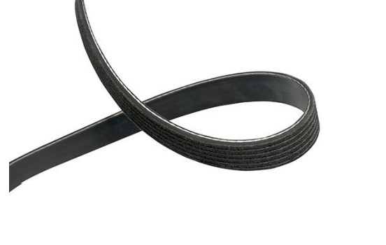 Multi-V belt DMV-5547 Kavo parts
